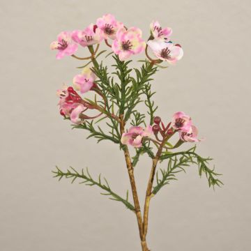 Konstgjord vaxblomma AISHA, rosa, 27cm, Ø1-1,5cm Konstgjord vaxblomma AISHA, rosa, 27cm, Ø1-1,5cm