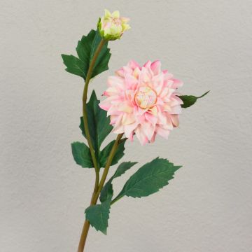 Textildahlia PATRITZIA, rosa-cerise, 55cm, Ø4-9cm Textildahlia PATRITZIA, rosa-cerise, 55cm, Ø4-9cm