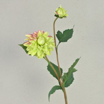 Textildahlia PATRITZIA, grön-rosa, 55cm, Ø4-9cm Textildahlia PATRITZIA, grön-rosa, 55cm, Ø4-9cm