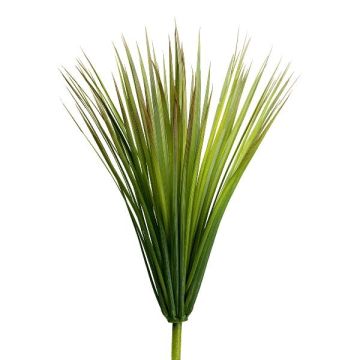 Konstväxt Cordyline indivisa PRUT, stödpinne, grön, 70cm