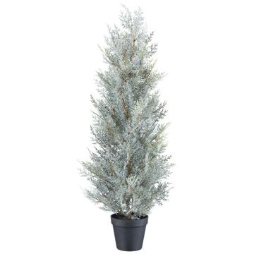Dekorationsträd Cypress CALOT i dekorationskruka, grå, 80cm