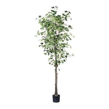 Konstgjord ginkgoträd MERLIM med konststam, 210cm