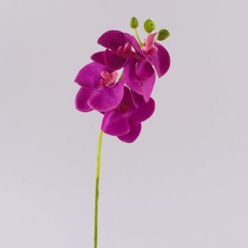 Konstgjord Phalaenopsis-orkidégren OPHELIA, cerise, 40cm, Ø7-8cm