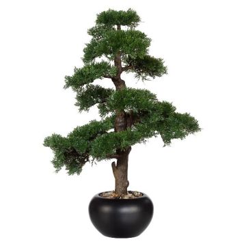 Konstträd Bonsai ceder FALKE med rötter, keramikkruka, 70cm