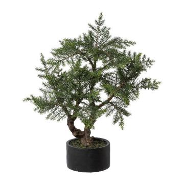 Konstgjord bonsai-rumsgran LONSA i dekorativ kruka, 75cm