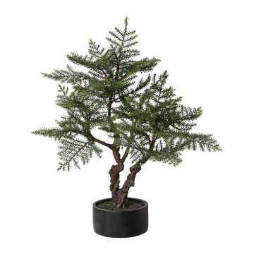 Konstgjord bonsai-rumsgran LONSA i dekorativ kruka, 100cm