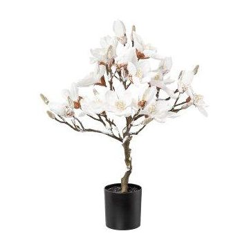Konstgjord magnoliaträd DOLS, konstgjord stam, med blommor, snötäckt, 60cm Konstgjord magnoliaträd DOLS, konstgjord stam, med blommor, snötäckt, 60cm