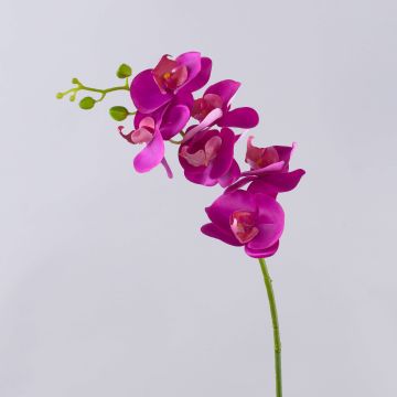 Konstgjord Phalaenopsis-orkidégren OPHELIA, cerise, 80cm, Ø8-9cm