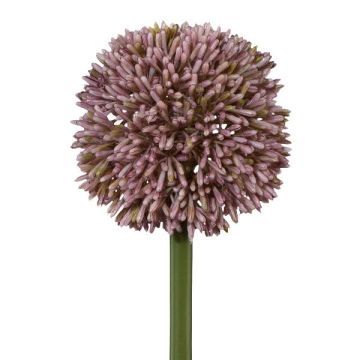 Dekorationsblomma Allium MENKES, lila, 65cm Dekorationsblomma Allium MENKES, lila, 65cm