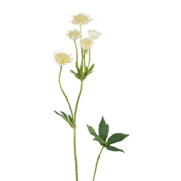 Dekorativ kvist stjärnblomma GRUHEN, vit-kräm, 65cm Dekorativ kvist stjärnblomma GRUHEN, vit-kräm, 65cm