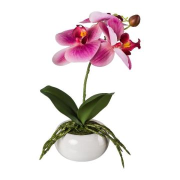 Plastblomma Phalaenopsis-orkidé KASDA, keramikskål, rötter, cerise, 27cm