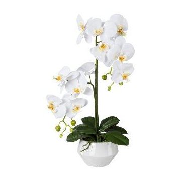 Plastblomma Phalaenopsis-orkidé KASDA, keramikkruka, rötter, vit, 50cm