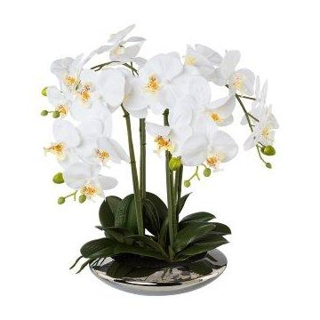 Textil Phalaenopsis-orkidé MANULO, keramikskål silver, rötter, vit, 40cm