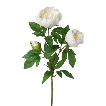 Dekorativ gren med pion SLORVE, vit, 70cm