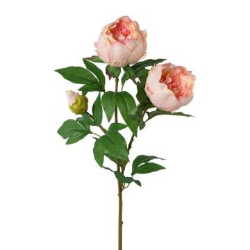 Dekorativt pionkvist SLORVE, laxrosa, 70cm