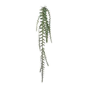 Dekorativ hängande bladkaktus PRIKU på pinne, grön, 130cm Dekorativ hängande bladkaktus PRIKU på pinne, grön, 130cm