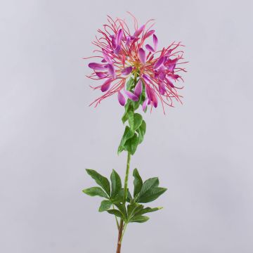 Konstgjord spindelblomma HILDEGARD, violett, 85cm, Ø20cm Konstgjord spindelblomma HILDEGARD, violett, 85cm, Ø20cm