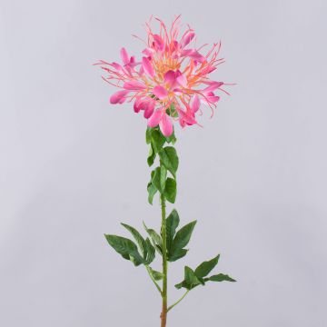 Konstgjord spindelblomma HILDEGARD, rosa, 85cm, Ø20cm Konstgjord spindelblomma HILDEGARD, rosa, 85cm, Ø20cm