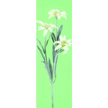 Konstgjord gren med alpsk edelweiss HARTYN, vit, 30cm Konstgjord gren med alpsk edelweiss HARTYN, vit, 30cm