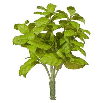 Dekorativt basilikakryddväxt KRITIKA på pinne, grön, 28cm