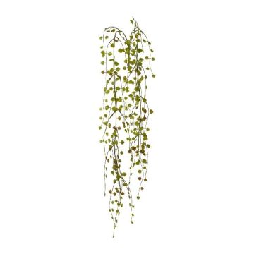 Konstgjord hängväxt Muehlenbeckia ACARAY, på pinne, grönbrun, 85cm Konstgjord hängväxt Muehlenbeckia ACARAY, på pinne, grönbrun, 85cm