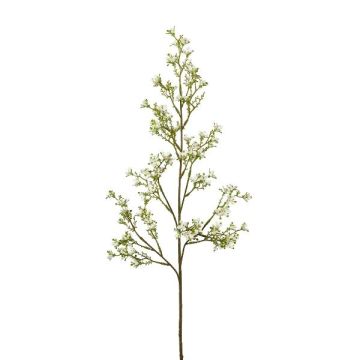 Dekorativ kvist med jasmin PLOVER, vit, 80cm Dekorativ kvist med jasmin PLOVER, vit, 80cm