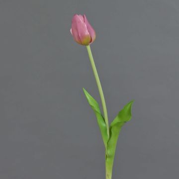 Konstgjord tulpan LONA, lila-grön, 45cm, Ø4cm Konstgjord tulpan LONA, lila-grön, 45cm, Ø4cm
