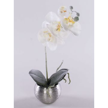 Konstgjord Phalaenopsis-orkidé KAREN, dekorativ kruka, frostad, vit, 35cm Konstgjord Phalaenopsis-orkidé KAREN, dekorativ kruka, frostad, vit, 35cm