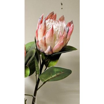 Dekorativ blomkvist av kungsprotea TANIEKA, rosa-lila-vit, 65cm, Ø9cm Dekorativ blomkvist av kungsprotea TANIEKA, rosa-lila-vit, 65cm, Ø9cm