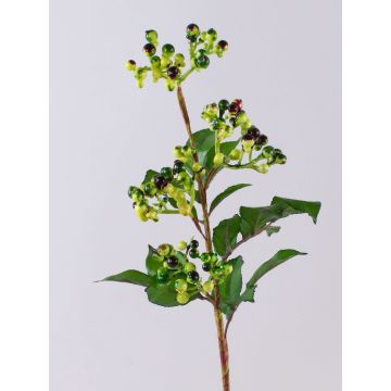 Konstgjord kvist med fläderbär CHATANGA med frukter, grön-röd, 60cm Konstgjord kvist med fläderbär CHATANGA med frukter, grön-röd, 60cm