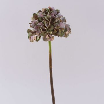 Konstgjord hortensia MANDISA, grön-rosa, 45cm, Ø16cm