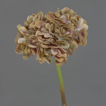 Konstgjord hortensia MANDISA, beige-antikgrön-lila, 45cm, Ø16cm Konstgjord hortensia MANDISA, beige-antikgrön-lila, 45cm, Ø16cm