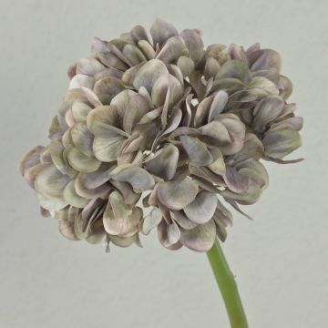 Konstblomma hortensia MANDISA, grå-lila-grön, 45cm, Ø16cm Konstblomma hortensia MANDISA, grå-lila-grön, 45cm, Ø16cm