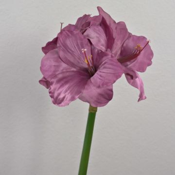 Konstblomma amaryllis MARANON, violett, 70cm, Ø19cm Konstblomma amaryllis MARANON, violett, 70cm, Ø19cm