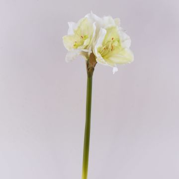 Dekorativ blomma amaryllis MARKUNO, krämvit, 65cm, Ø13cm Dekorativ blomma amaryllis MARKUNO, krämvit, 65cm, Ø13cm