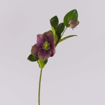 Konstblomma julros MITTWEIDA, violett-grön, 35cm Konstblomma julros MITTWEIDA, violett-grön, 35cm