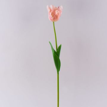 Konstgjord papegojatulp PETSCHORA, aprikosrosa, 65cm Konstgjord papegojatulp PETSCHORA, aprikosrosa, 65cm