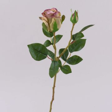 Konstgjord ros BARIADY, violett-grön, 35cm, Ø5,5cm