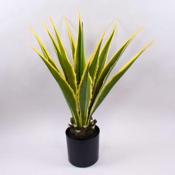 Konstgjord Agave furcraea gigantea CHERIE, grön-gul, 80cm Konstgjord Agave furcraea gigantea CHERIE, grön-gul, 80cm