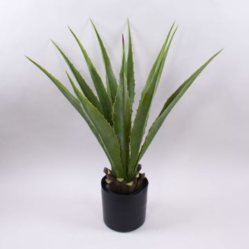 Konstgjord Agave furcraea gigantea CHERIE, grågrön, 80cm Konstgjord Agave furcraea gigantea CHERIE, grågrön, 80cm