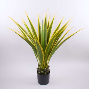 Konstagave furcraea gigantea CHERIE, grön-gul, 120cm Konstagave furcraea gigantea CHERIE, grön-gul, 120cm