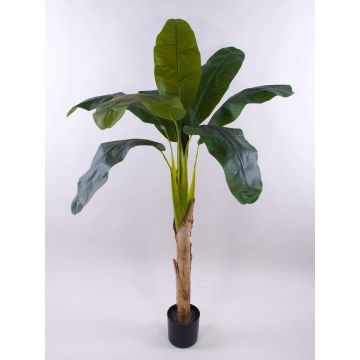 Konstgjord bananpalme SHARA, 150cm Konstgjord bananpalme SHARA, 150cm