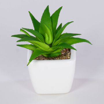 Dekorativ Aloe Vera KATNISS, keramikkruka, grön, 9cm