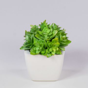 Dekorativ Echeveria macdougallii KATNISS, keramikkruka, grön, 12cm