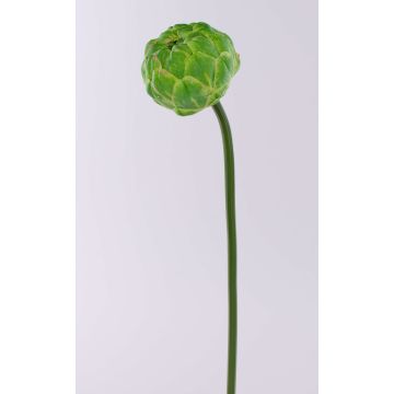 Dekorativ kronärtskocka ABUKUMA, grön, 50cm Dekorativ kronärtskocka ABUKUMA, grön, 50cm