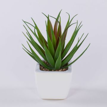 Dekorativ Agave decipiens KATNISS i keramikkruka, grön-röd, 19cm Dekorativ Agave decipiens KATNISS i keramikkruka, grön-röd, 19cm