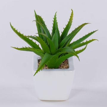 Dekorativ aloe vera KATNISS, keramikkruka, grön, 19cm