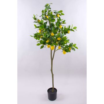 Konstgjord citronträd AINSLEY med frukter, konstgjord stam, 150cm Konstgjord citronträd AINSLEY med frukter, konstgjord stam, 150cm