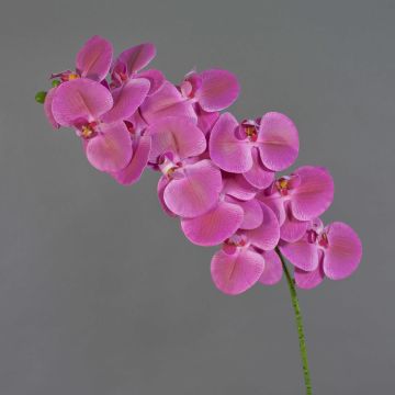 Konstgjord Phalaenopsis-orkidégren XURI, cerise, 95cm, Ø12,5cm Konstgjord Phalaenopsis-orkidégren XURI, cerise, 95cm, Ø12,5cm