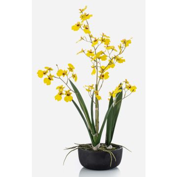 Konstblomma Oncidium-orkidé DEISHA i dekorativ skål, rötter, gul, 60cm Konstblomma Oncidium-orkidé DEISHA i dekorativ skål, rötter, gul, 60cm